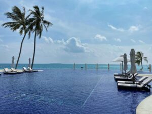 a large swimming pool with lounge chairs and palm trees