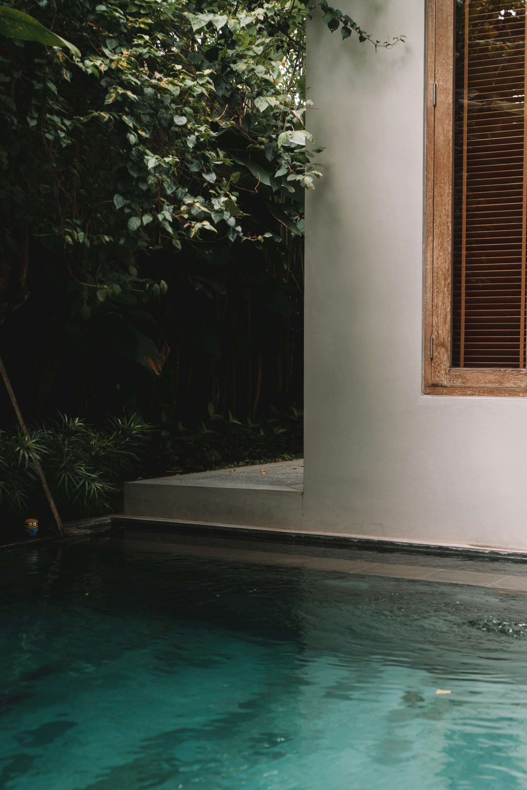 a pool that has a window in it