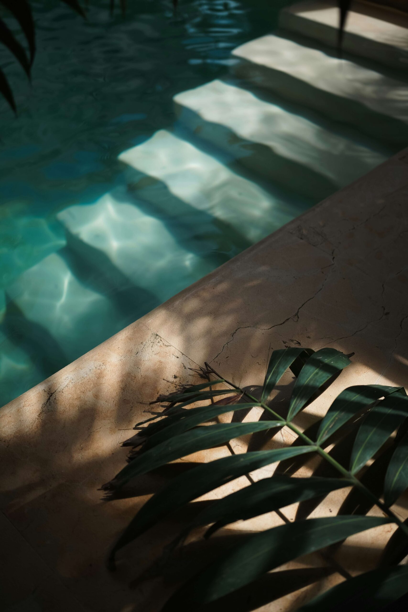 he shadow of a palm leaf on the floor of a swimming pool
