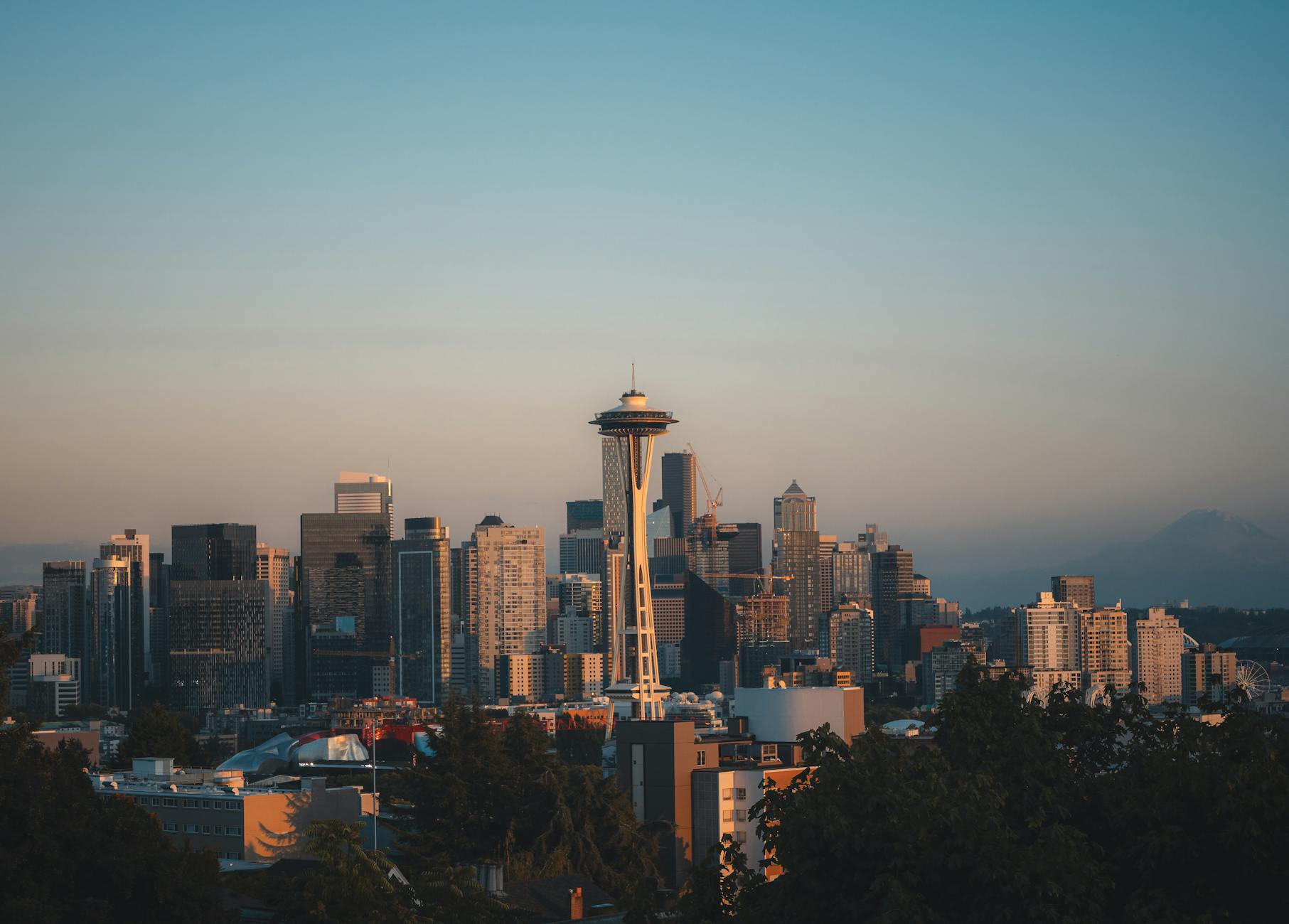 the seattle skyline at sunset with trees in the foreground