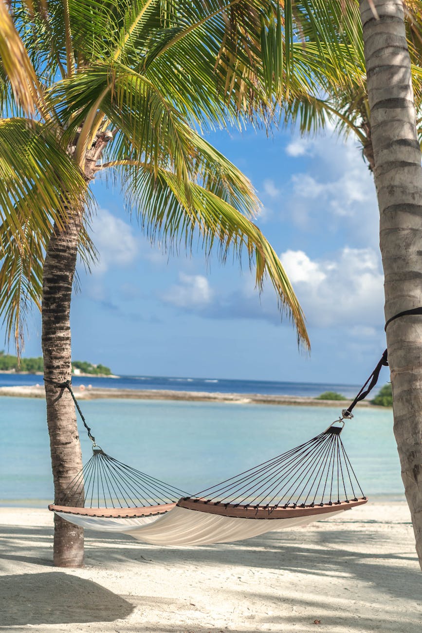a hammock on a beach