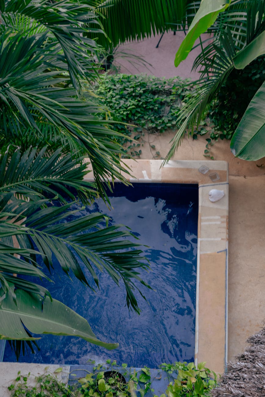 birds eye view of a hotel pool
