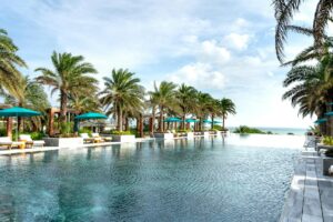 palm trees beside pool