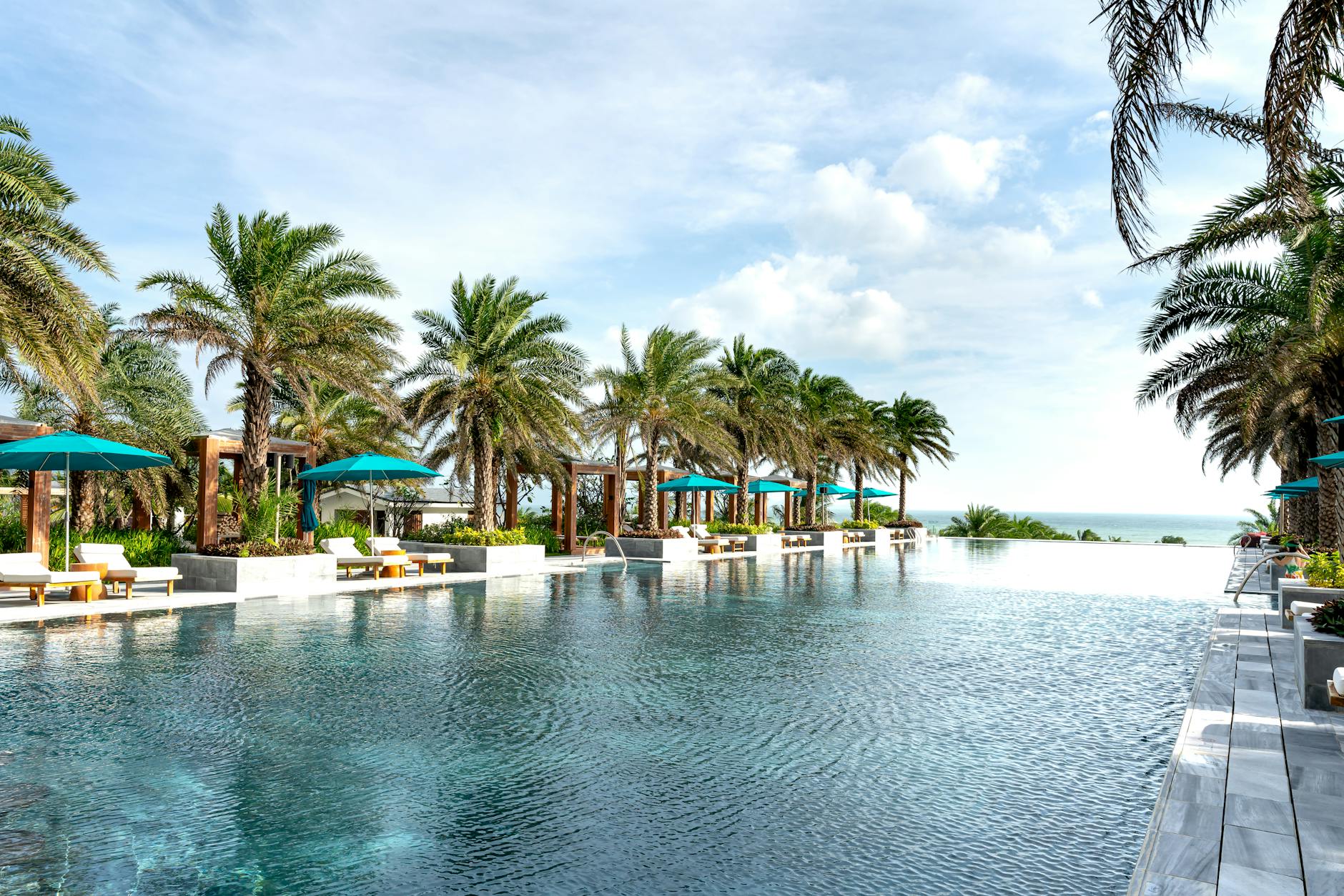 palm trees beside pool